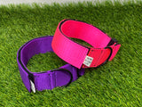 Ligero 1.5" (Collar de cachorro - Collar de parche)