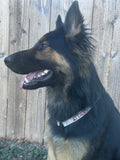ID Collar / Tag Collar
