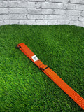 Quick Draw Explorer Leash