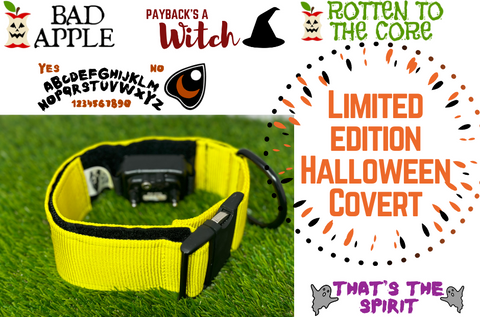 The Covert - Limited Edition Halloween - Hidden E-Collar Receiver