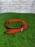 Quick Draw Explorer Leash