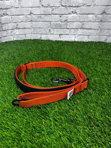 Quick Draw Explorer Leash