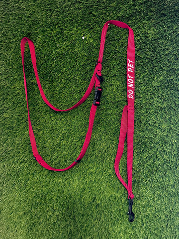 Hands Free Crossbody Leash