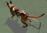 Junior Pull - Weight Training Attachment