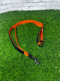 Quick Draw Explorer Leash