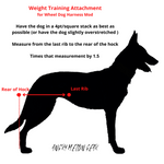 Junior Pull - Weight Training Attachment