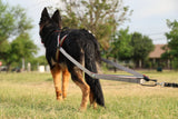 Junior Pull - Weight Training Attachment