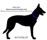 The MINI Stealth - Small Dog - Hidden Prong Collar