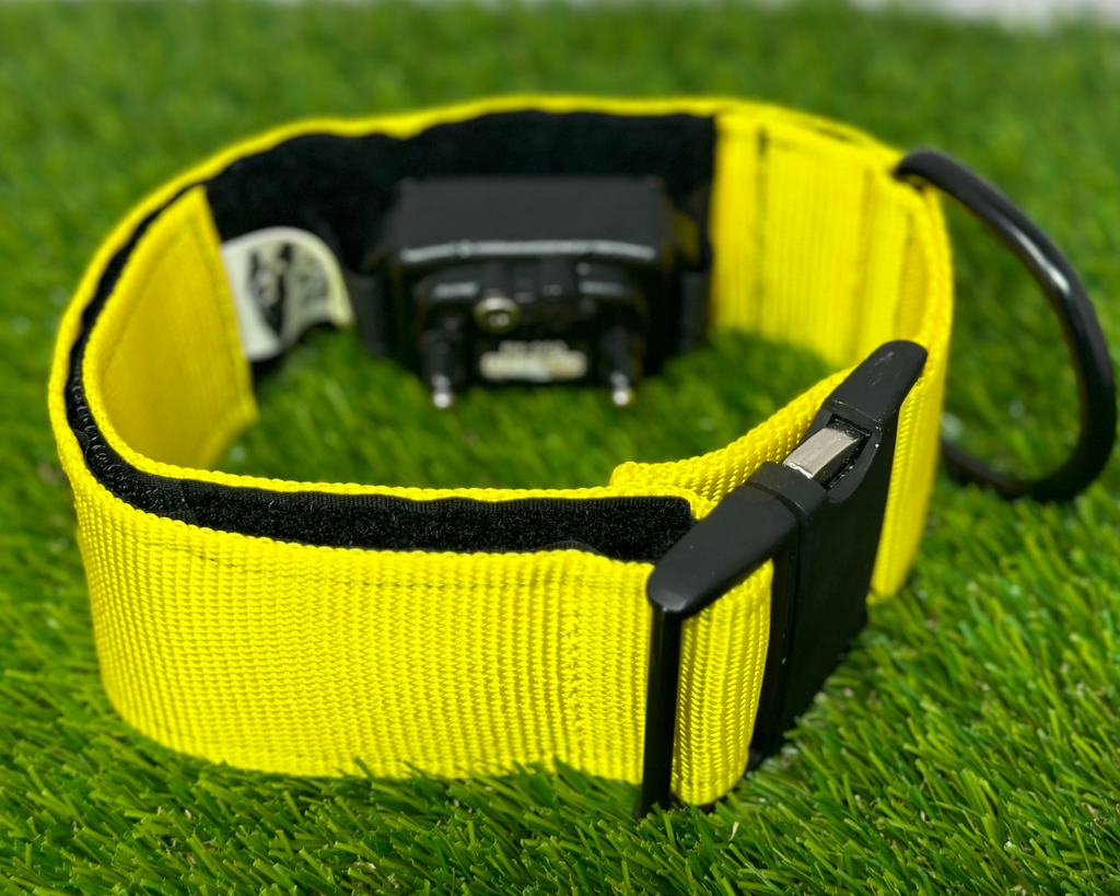 The Covert Hidden E Collar Receiver