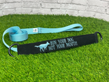 Themed Design Coursing Lead