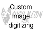 Custom Image Digitizing