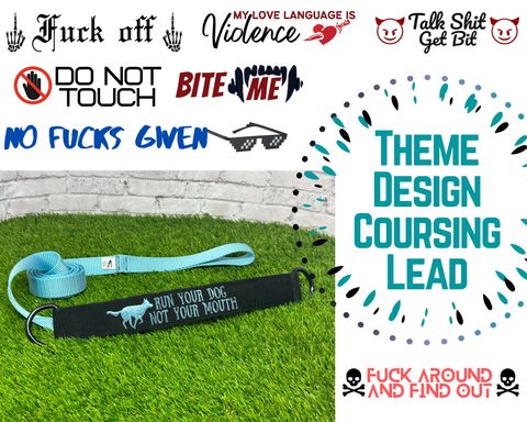 Themed Design Coursing Lead