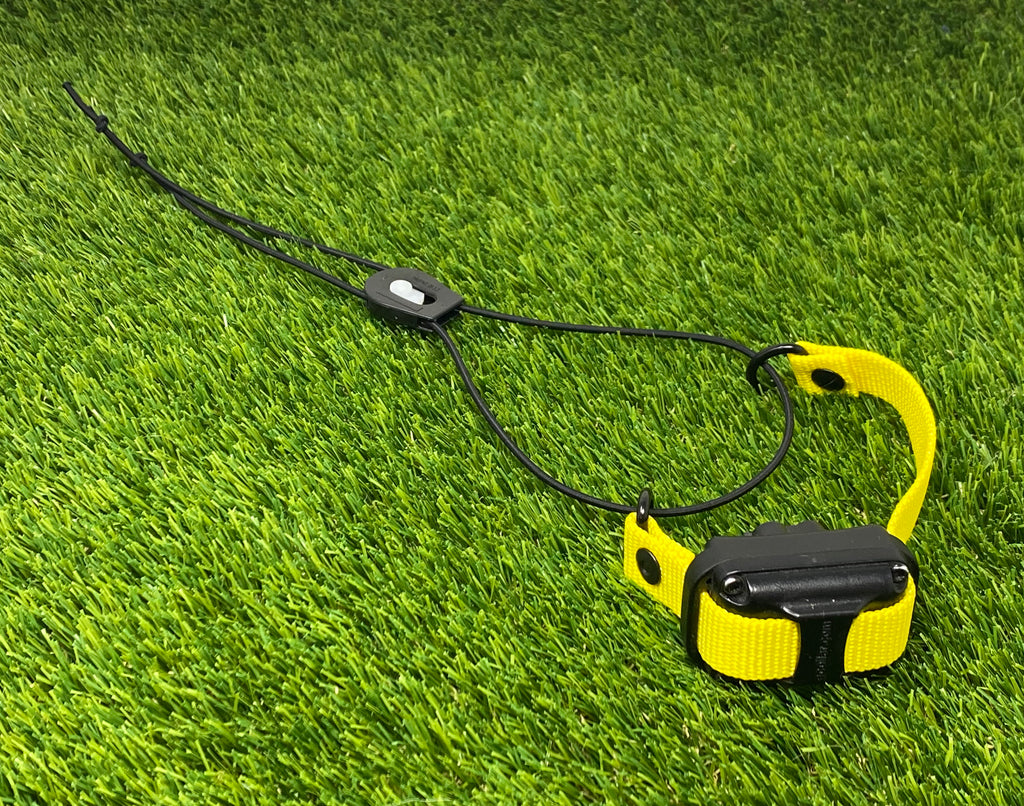 Bungee E Collar Strap Angry Melon Gear