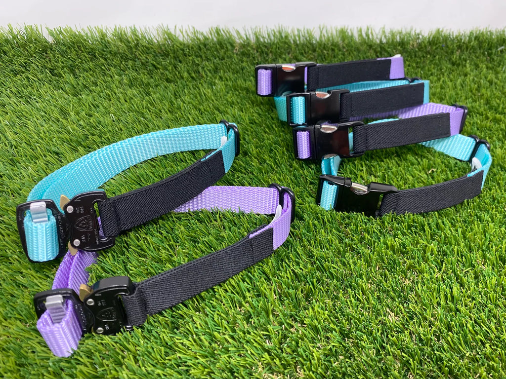 Elastic e collar sales strap